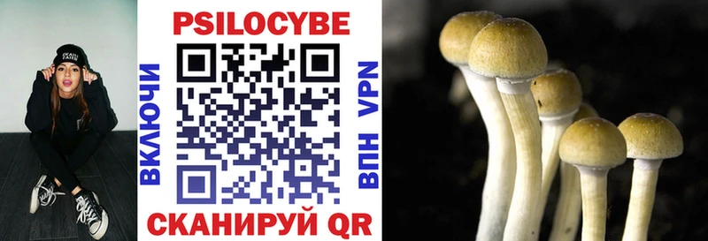 кракен вход  Юхнов  Галлюциногенные грибы Psilocybine cubensis 